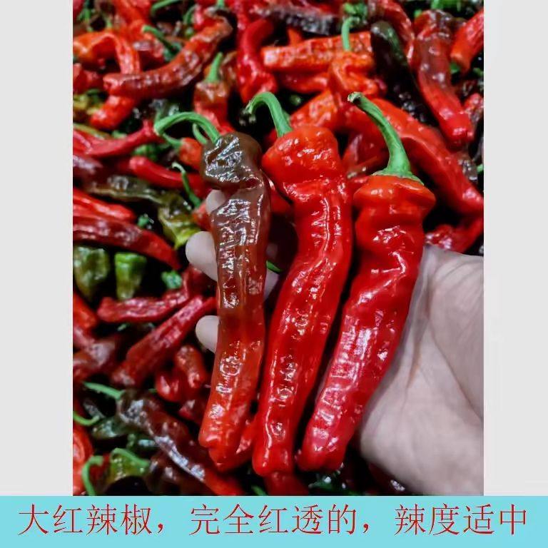 江苏徐州新鲜辣椒特辣皱皮薄皮炒辣子鸡辣椒1/5斤包邮纯红皱皮,水产肉类/新鲜蔬果/熟食,辣椒,淘宝优惠券,粉丝福利购,淘宝优惠卷