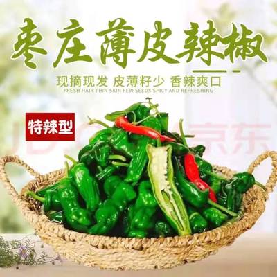 新鲜小皱皮辣椒枣庄薄皮特辣辣椒辣子鸡专用辣椒现摘现发包邮