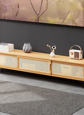 Living room TV cabinet home storage table TV bench 电视柜