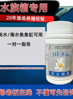 观赏鱼鳞片炸开发红不进食趴缸