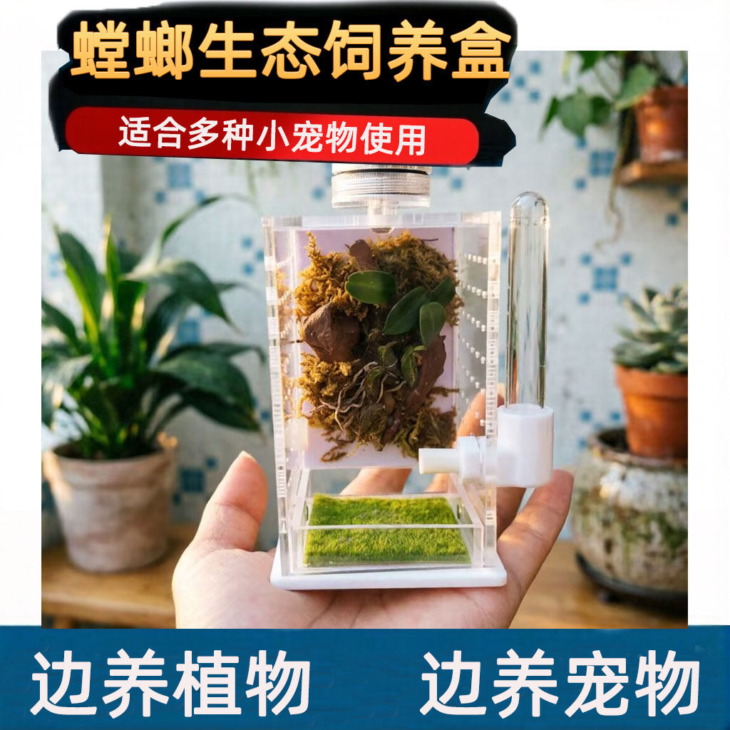 螳螂生态款昆虫饲养盒爬虫饲养盒蜗牛饲养盒树蛙饲养盒螳螂鸣虫盒图片