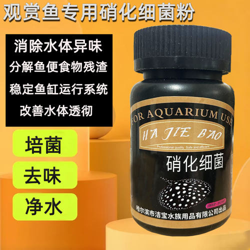 硝化细菌去异味净水培菌粉末