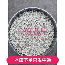 红花籽 鹦鹉粮 玄风小太阳仓鼠鸟食 鸟粮饲料 鸽子粮 白瓜子 五斤