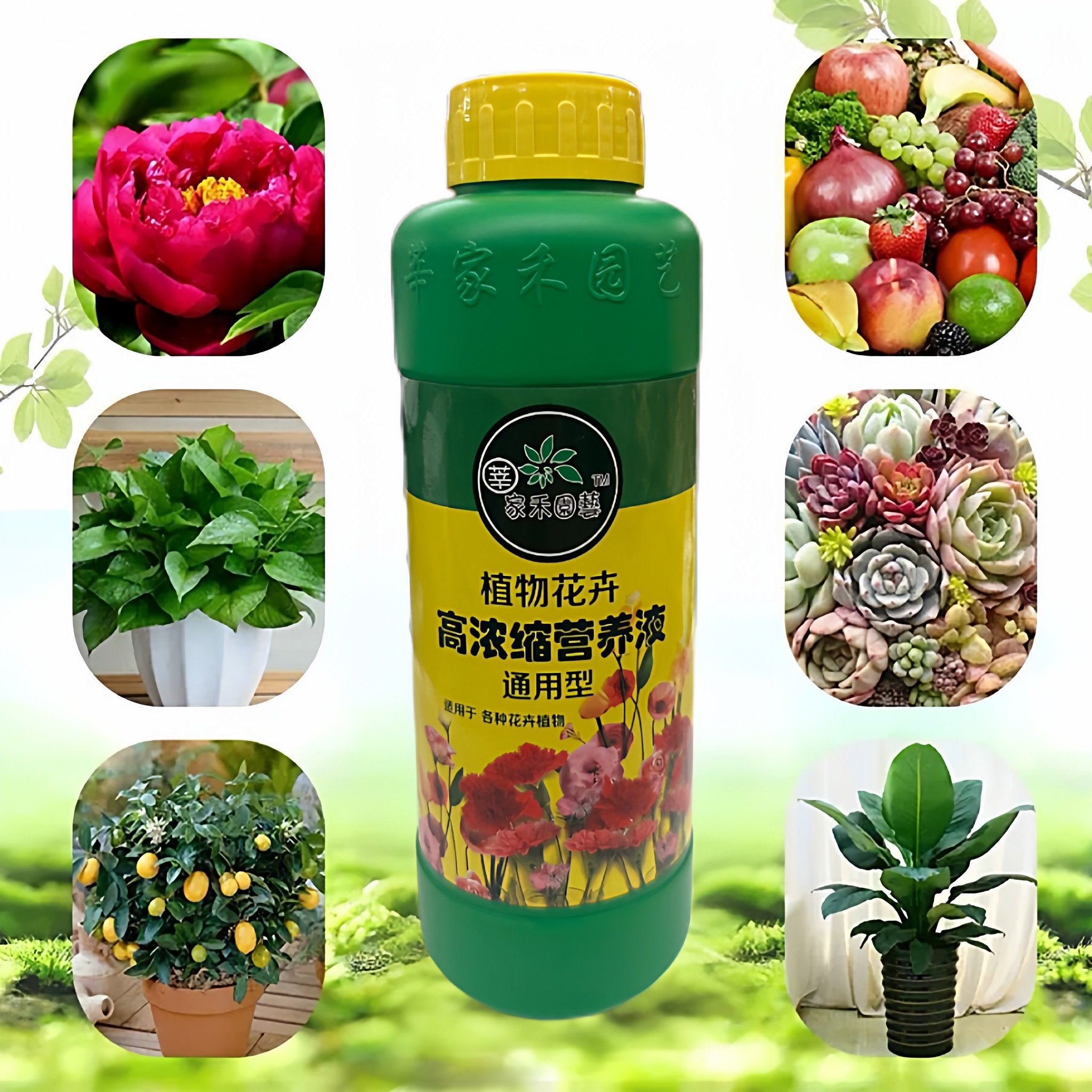 大瓶营养液植物通用型盆栽水培富贵竹绿萝发财树营养月季花用肥料,鲜花速递/花卉仿真/绿植园艺,家庭园艺肥料,淘宝优惠券,粉丝福利购,淘宝优惠卷