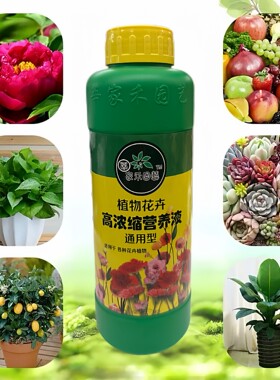 大瓶营养液植物通用型盆栽水培富贵竹绿萝发财树营养月季花用肥料