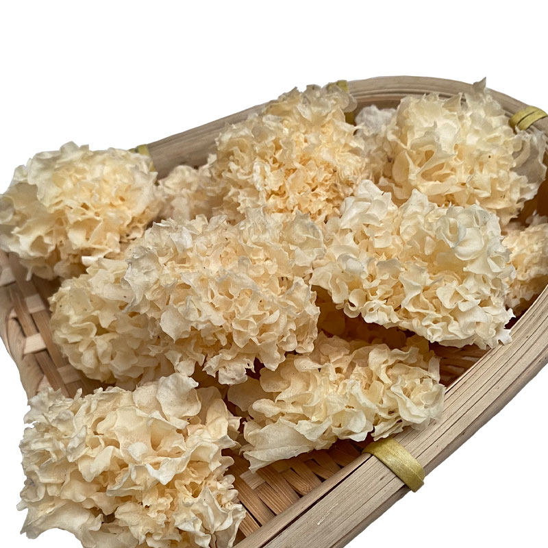 儿童孕妇天然椴木银耳干货 无硫白木耳 正宗野生雪耳糯耳