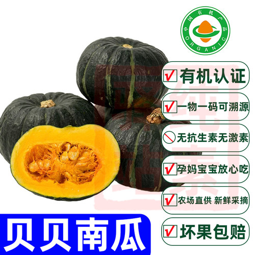 纯素食有机认证贝贝南瓜
