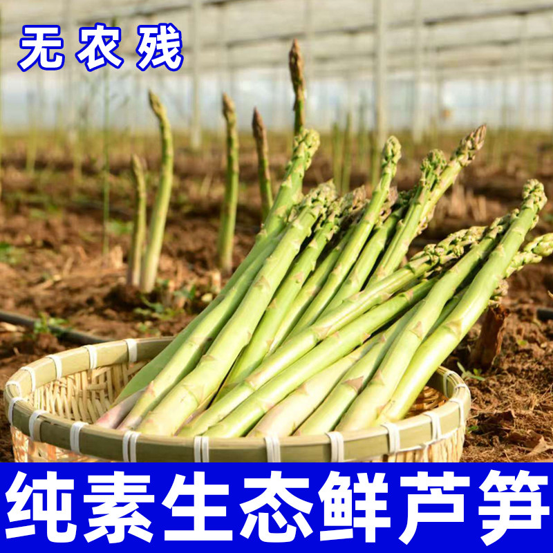 生态鲜芦笋纯素食基地直接发
