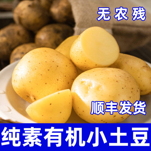 有机小土豆迷你现挖黄心土豆洋芋农家蔬菜马铃薯粉糯软绵沈佳农