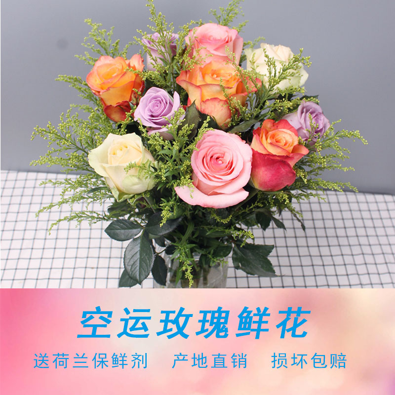 航空直達云南玫瑰鮮花彩玫黃鶯向日葵家庭插花家用鮮花辦