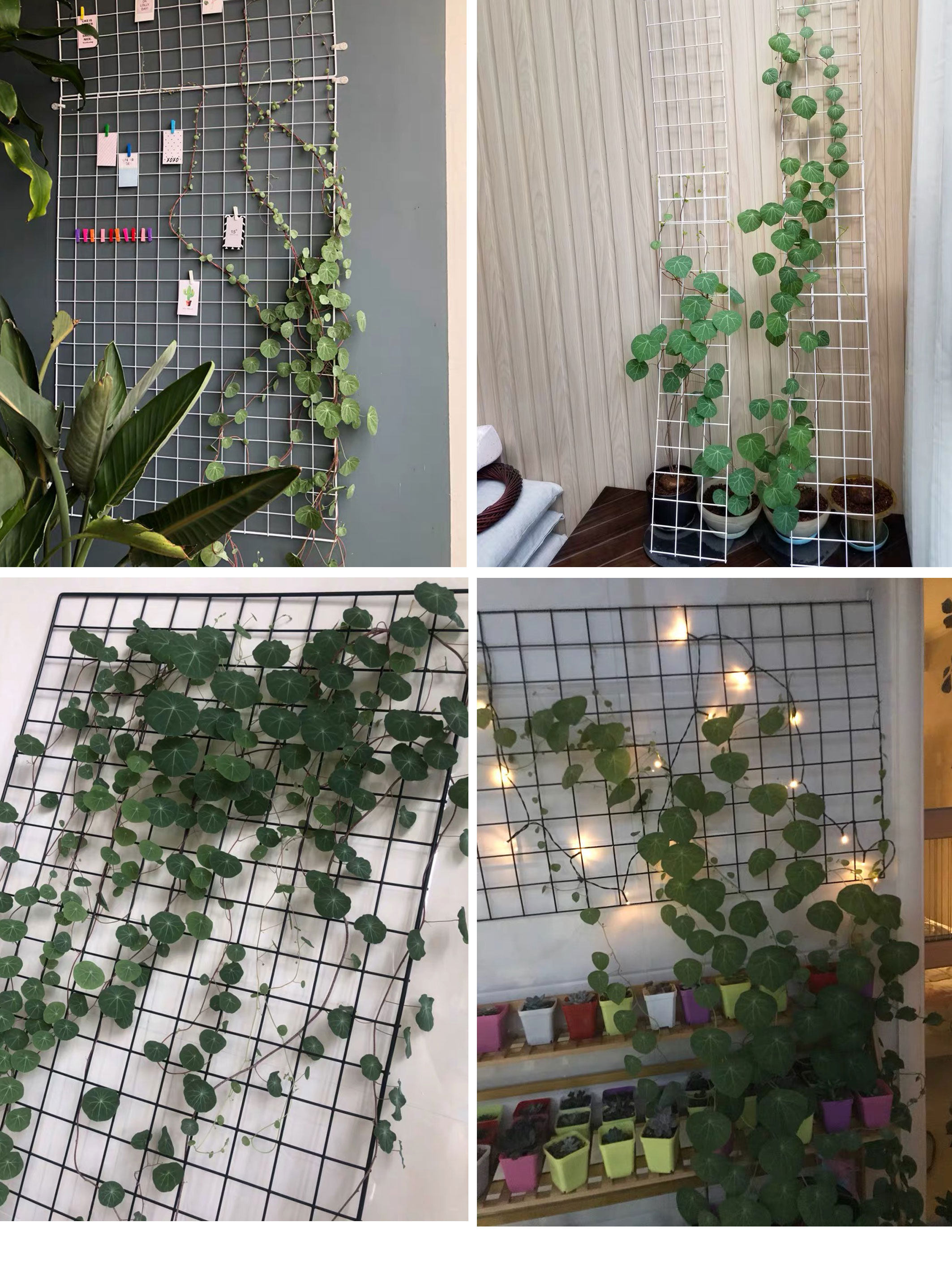 山乌龟白色爬藤铁艺花架网格北欧风阳台客厅室内外植物墙装饰垂吊