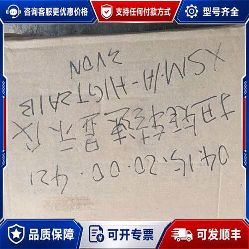 议价XSM/A-H1GT2A1B3VON智能扭矩显示仪可维修