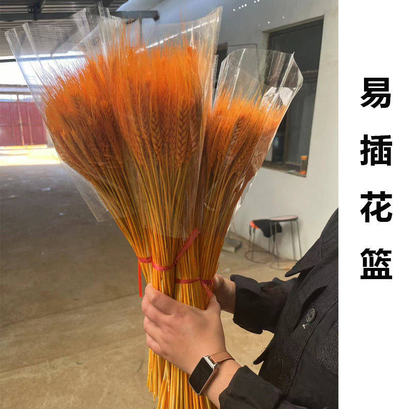 开业花店插花大麦精品麦穗整箱干花天然批发黄金花束厂家直销庆典