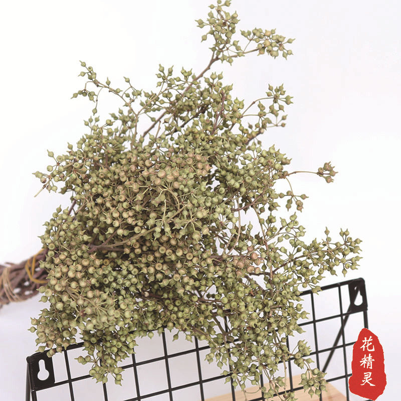 风干小米果天然果实花材花束配材
