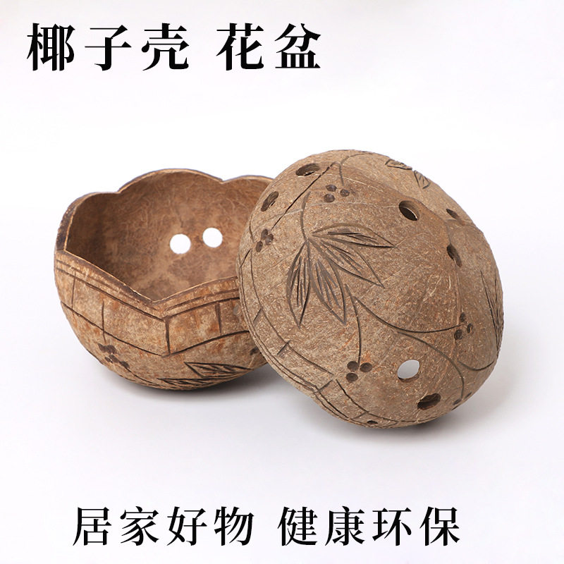 厂家直销椰子壳多肉花盆特价碗植