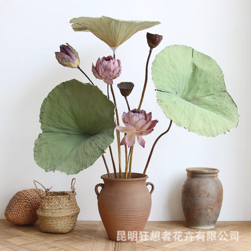 狂想者【重瓣荷花】中式禅意自然