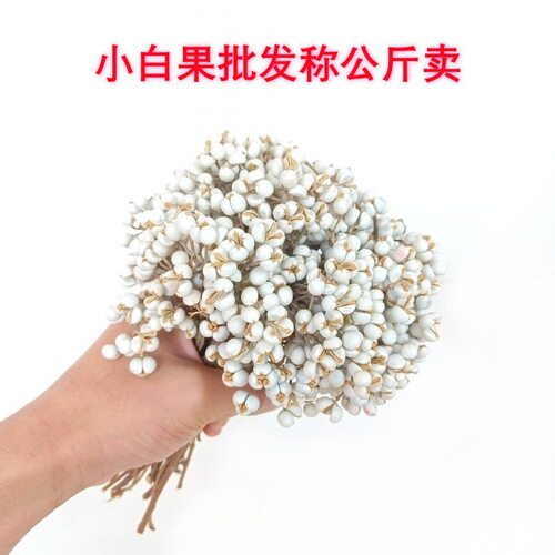 小白果乌桕果白豆薏仁干果干花北