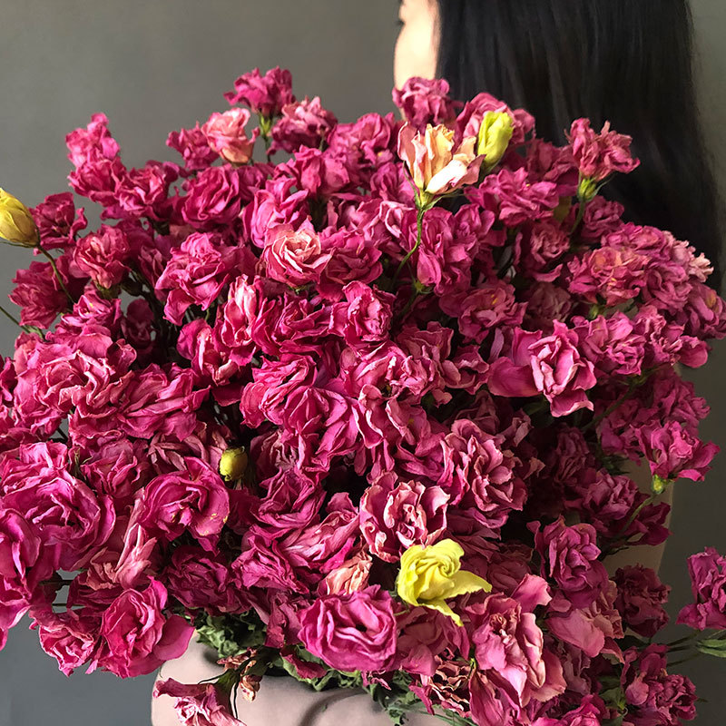 狂想者新品干花亚马逊家庭手工D