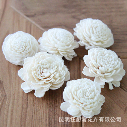 狂想者新品【通草花】diy发夹香