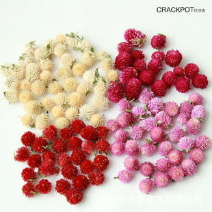 百搭风干花工厂千日红花头香薰蜡烛玻璃瓶自然干花材料包干花朵