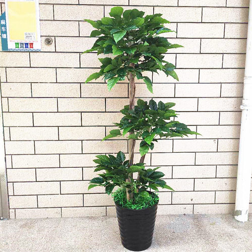 绿色植物幸福树室内装饰仿真花卉