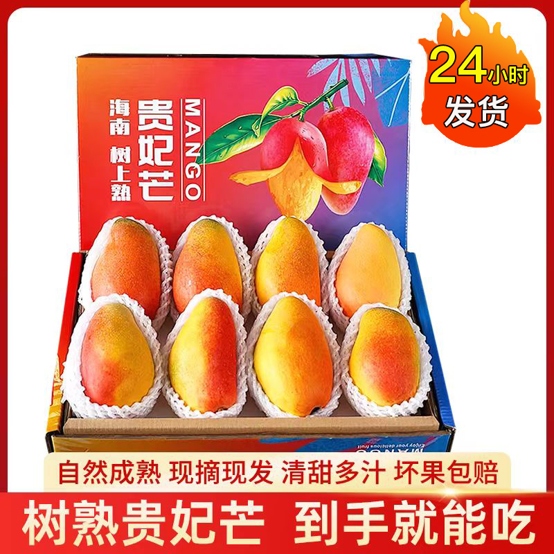 芒果树上熟海南贵妃芒水果