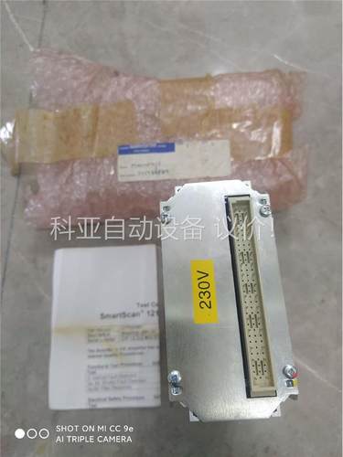 HAMWORTHY 火焰扫描仪SmartScan 121 f(议价)