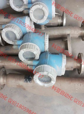 E+H 恩德斯豪斯 Promass300系列质量流量计，8F