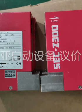 HORIBA SFC-Z313M MG-02 100SCCM(议价)