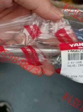 EY18  排气阀杆 Ey18  146673-11120
