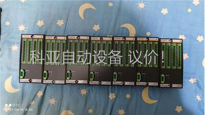 巴赫曼PLC PTAI216 CNT204/H DI232(议价)