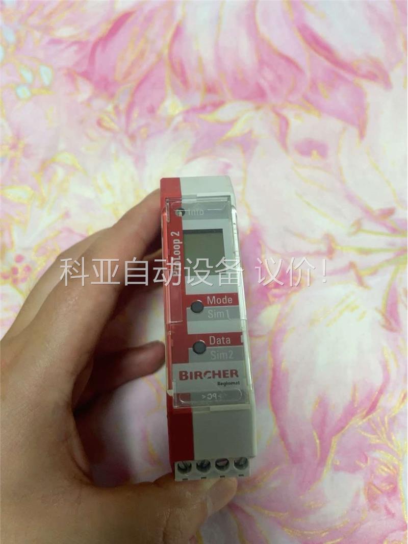传感器BIRCHER回路传感器 ProLoop2 成色可以，(议价)