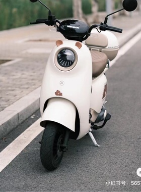 爱玛晴天W293W193W290电动车外壳前围前泥板边条侧板大灯原厂配件