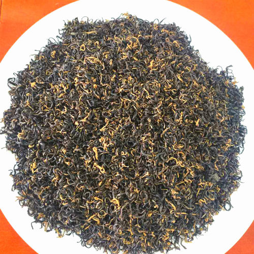 遵义红小种红茶新茶果香署香型
