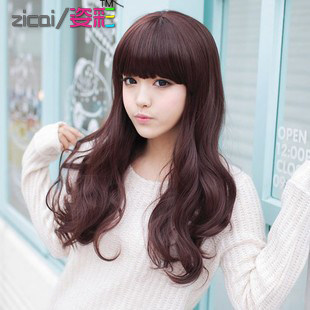 Perruque Les cheveux longs - Ref 2613128 Image 1