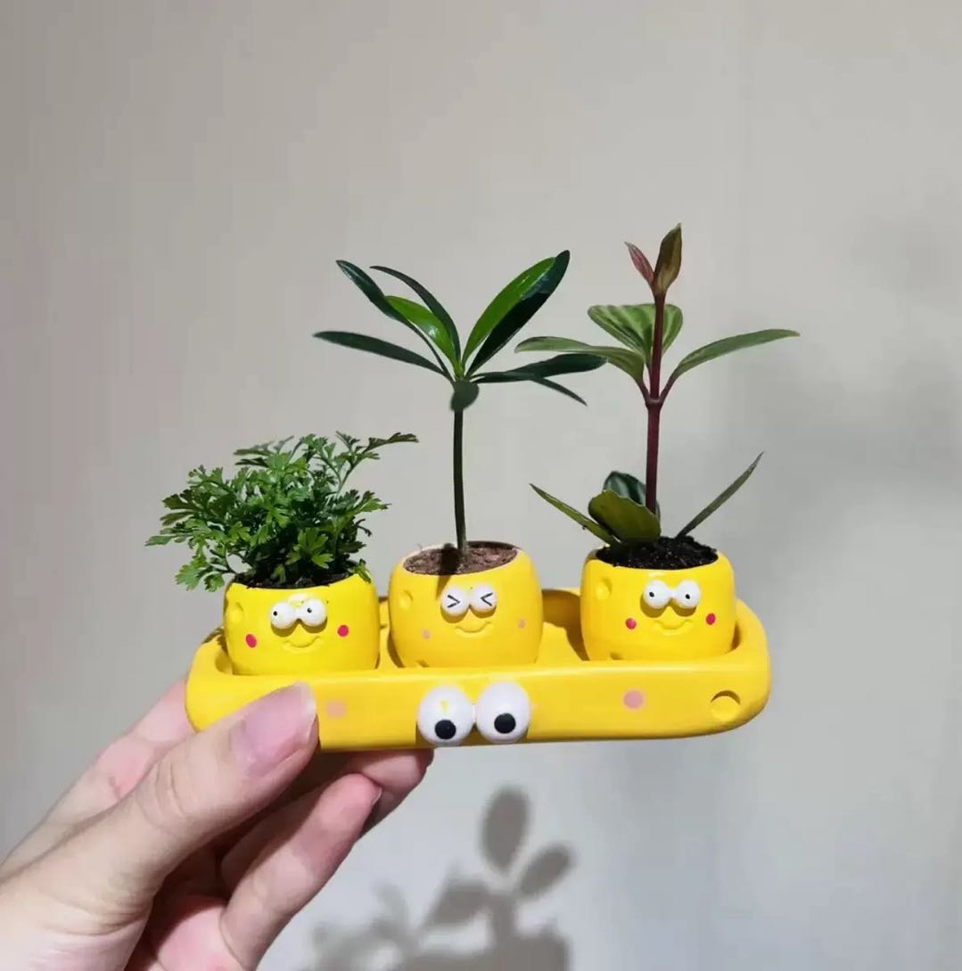 可爱卡通陶瓷花盆桌面摆件免安装