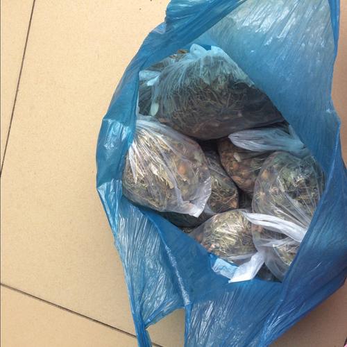 糠秕孢子菌毛囊炎 马拉色真菌毛囊炎 感染 前胸后背