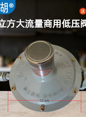 西湖5立方大流量商用低压阀门