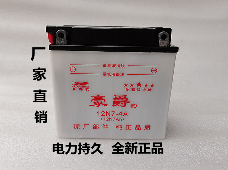 摩托车铅酸蓄电池水电瓶12V5A7A9A 125 150骑跨车踏板车通用电池