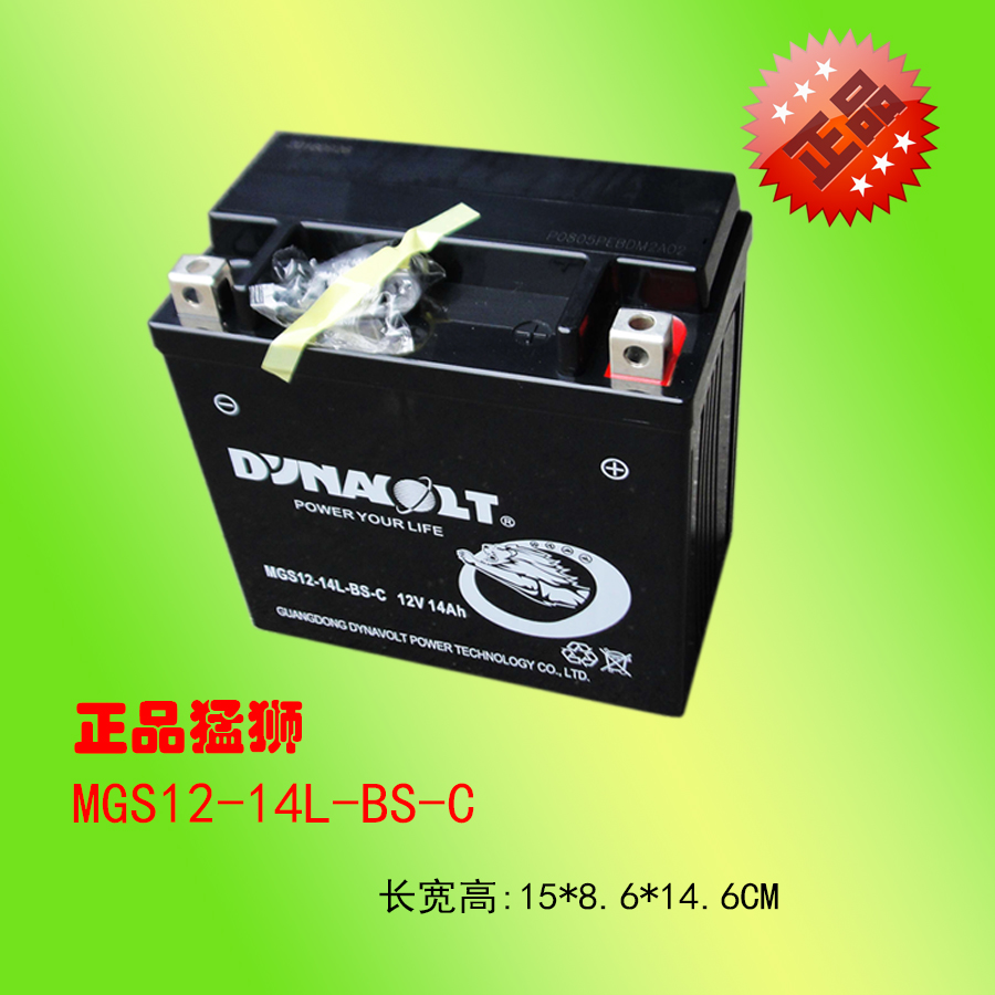 全新正品，猛狮电池，畅销全球！