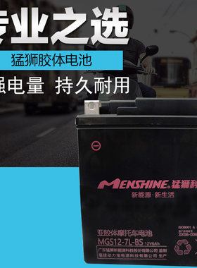 摩托车电瓶12v通用9a新大洲本田