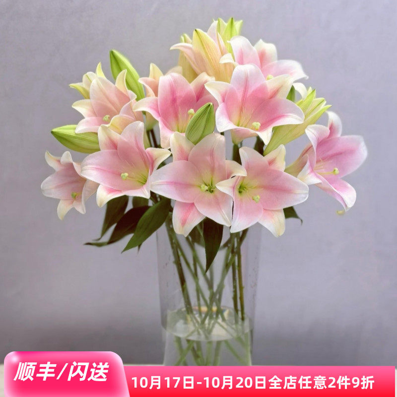 粉铁炮百合淡雅10枝北京速递