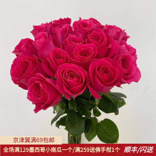 A级弗洛伊德玫瑰鲜切花同城速递