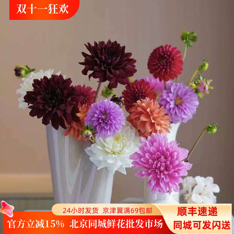 新鲜大丽花多颜色配花同城速递