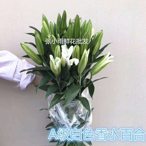 恋咔A级香水百合鲜切花同城速递