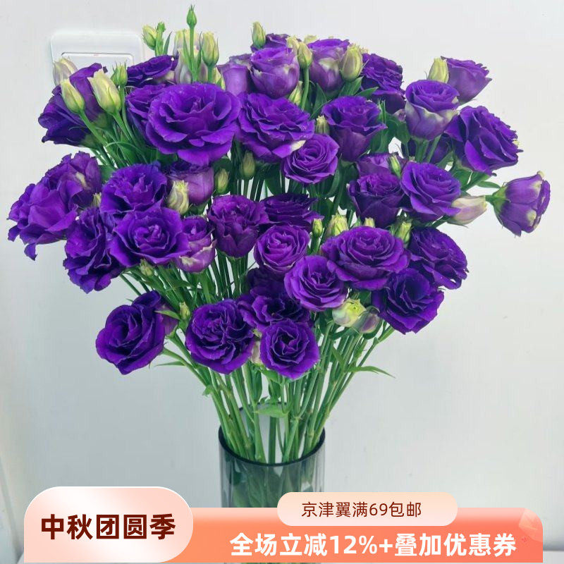新鲜紫色洋桔梗龙胆鲜切花10枝