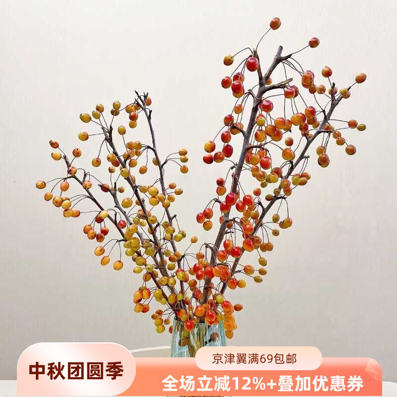 秋色海棠果鲜切枝花束点缀
