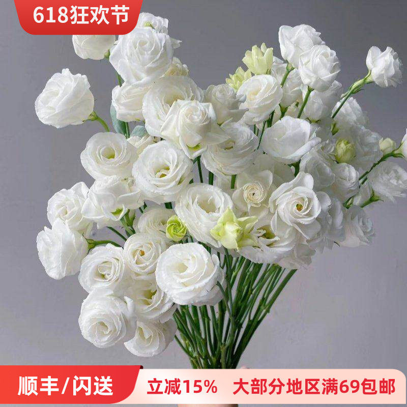 洁白洋桔梗10枝龙胆鲜切花家用