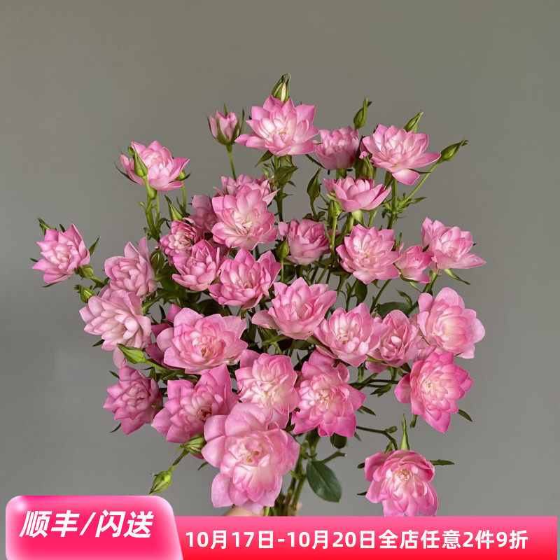 恋咔天河繁星多头小玫瑰10枝