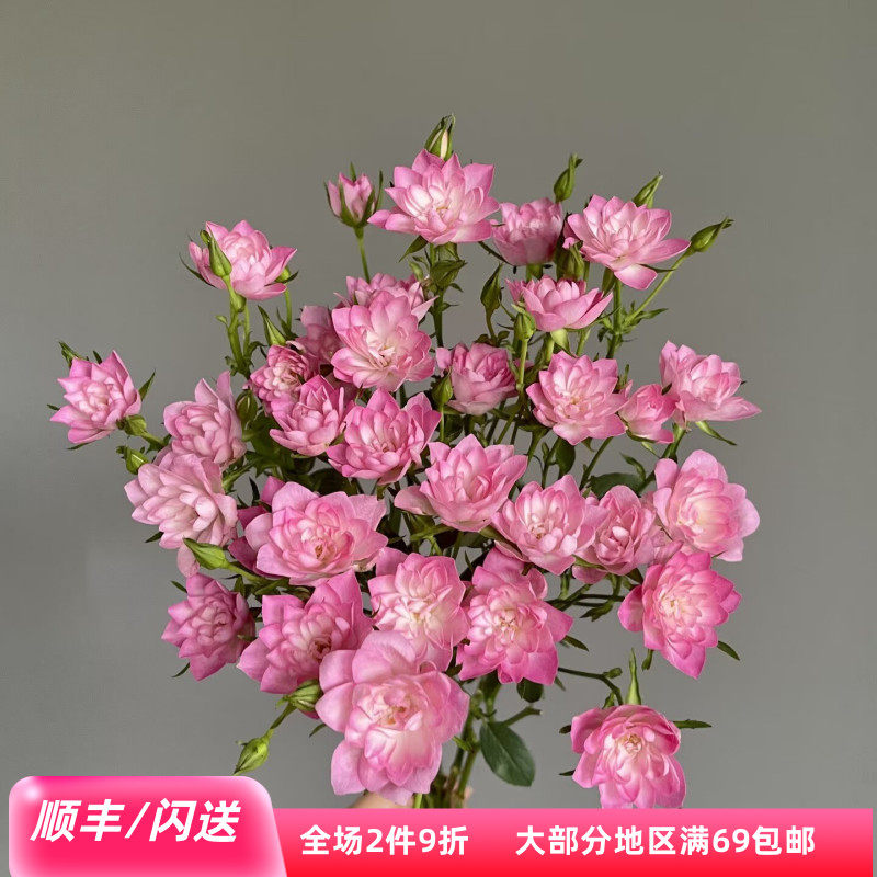 恋咔天河繁星多头小玫瑰10枝